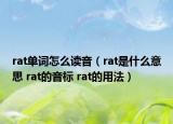 rat單詞怎么讀音（rat是什么意思 rat的音標(biāo) rat的用法）