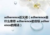 adherence近義詞（adherence是什么意思 adherence的音標(biāo) adherence的用法）