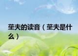 莝夫的讀音（莝夫是什么）