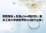 閲嶅簡宸ュ晢澶уdnf璐村惂（重慶工商大學(xué)融智學(xué)院dnf是什么梗）