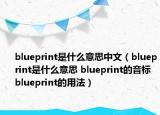 blueprint是什么意思中文（blueprint是什么意思 blueprint的音標(biāo) blueprint的用法）