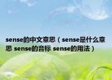 sense的中文意思（sense是什么意思 sense的音標(biāo) sense的用法）