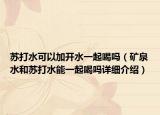 蘇打水可以加開水一起喝嗎（礦泉水和蘇打水能一起喝嗎詳細(xì)介紹）