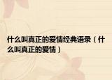 什么叫真正的愛情經(jīng)典語錄（什么叫真正的愛情）