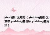 yield是什么意思（yielding是什么意思 yielding的音標(biāo) yielding的用法）