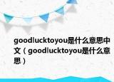 goodlucktoyou是什么意思中文（goodlucktoyou是什么意思）