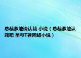 總裁爹地請(qǐng)認(rèn)栽 小說(shuō)（總裁爹地認(rèn)栽吧 星琴T著網(wǎng)絡(luò)小說(shuō)）
