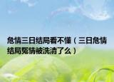 危情三日結(jié)局看不懂（三日危情結(jié)局冤情被洗清了么）