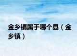 金鄉(xiāng)鎮(zhèn)屬于哪個縣（金鄉(xiāng)鎮(zhèn)）