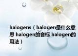 halogens（halogen是什么意思 halogen的音標(biāo) halogen的用法）