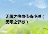 無限之熱血傳奇小說（無限之邪欲）