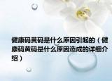 健康碼黃碼是什么原因引起的（健康碼黃碼是什么原因造成的詳細(xì)介紹）