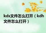 kds文件怎么打開（kdh文件怎么打開）