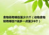 食物鏈有哪些至少六個(gè)（動物食物鏈有哪些?!說多一點(diǎn)至少6個(gè)）