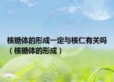 核糖體的形成一定與核仁有關嗎（核糖體的形成）