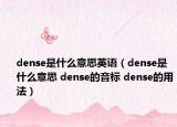 dense是什么意思英語（dense是什么意思 dense的音標(biāo) dense的用法）