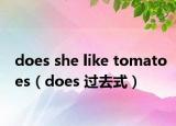 does she like tomatoes（does 過(guò)去式）