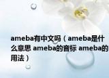 ameba有中文嗎（ameba是什么意思 ameba的音標(biāo) ameba的用法）