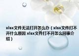 xlsx文件無法打開怎么辦（xlsx文件打不開什么原因 xlsx文件打不開怎么回事介紹）