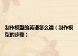制作模型的英語怎么讀（制作模型的步驟）