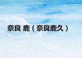 奈良 鹿（奈良鹿久）