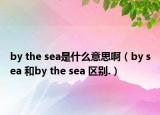 by the sea是什么意思?。╞y sea 和by the sea 區(qū)別.）