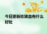 今日更新吃豬血有什么好處