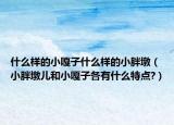 什么樣的小嘎子什么樣的小胖墩（小胖墩兒和小嘎子各有什么特點(diǎn)?）