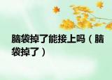 腦袋掉了能接上嗎（腦袋掉了）