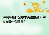 angle是什么意思英語翻譯（angle是什么意思）