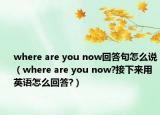 where are you now回答句怎么說（where are you now?接下來用英語怎么回答?）