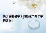 關(guān)于羽的名字（羽揚(yáng)這個(gè)兩個(gè)字的含義）