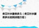 煮艾葉水要煮多久（煮艾葉水要煮多長(zhǎng)時(shí)間詳細(xì)介紹）