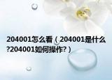 204001怎么看（204001是什么?204001如何操作?）