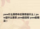 paw什么意思中文意思是什么（paw是什么意思 paw的音標(biāo) paw的用法）