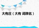 大有莊（大有 詞牌名）