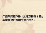 廣西車牌桂G是什么地方的?。ü餲車牌號(hào)是廣西哪個(gè)地方的?）