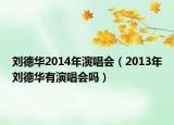 劉德華2014年演唱會（2013年劉德華有演唱會嗎）