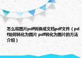 怎么將圖片pdf轉(zhuǎn)換成文檔pdf文件（pdf如何轉(zhuǎn)化為圖片 pdf轉(zhuǎn)化為圖片的方法介紹）