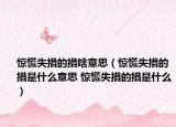 驚慌失措的措啥意思（驚慌失措的措是什么意思 驚慌失措的措是什么）