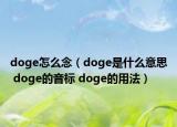 doge怎么念（doge是什么意思 doge的音標 doge的用法）