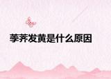 荸薺發(fā)黃是什么原因