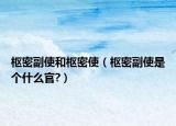 樞密副使和樞密使（樞密副使是個(gè)什么官?）
