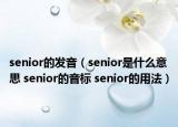 senior的發(fā)音（senior是什么意思 senior的音標(biāo) senior的用法）