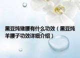 黑豆燉豬腰有什么功效（黑豆燉羊腰子功效詳細介紹）