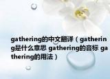 gathering的中文翻譯（gathering是什么意思 gathering的音標(biāo) gathering的用法）