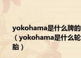 yokohama是什么牌的（yokohama是什么輪胎）