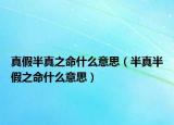 真假半真之命什么意思（半真半假之命什么意思）