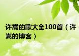 許嵩的歌大全100首（許嵩的博客）