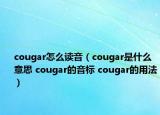 cougar怎么讀音（cougar是什么意思 cougar的音標(biāo) cougar的用法）